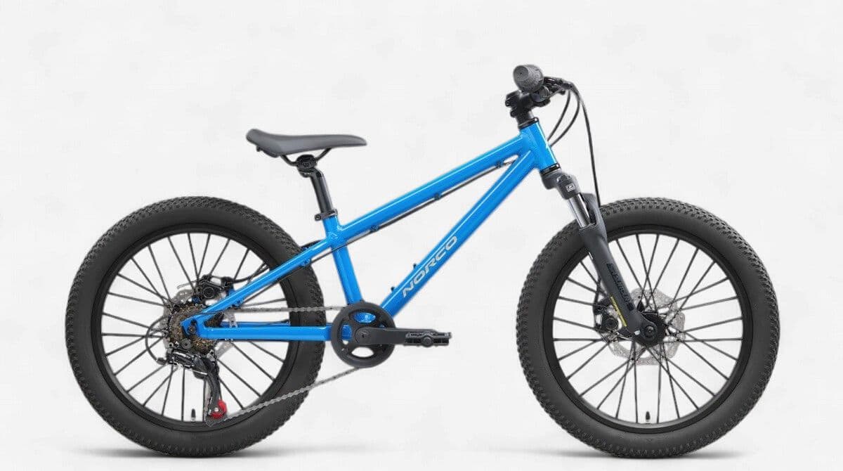 Norco Storm 20 2025