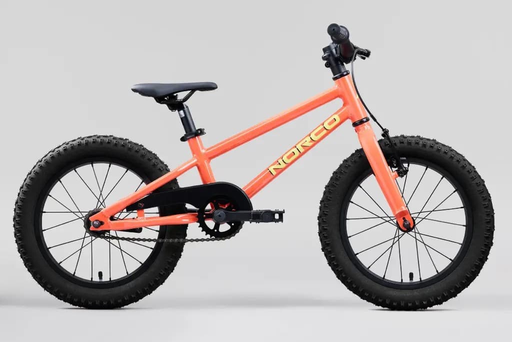 Norco Storm 16