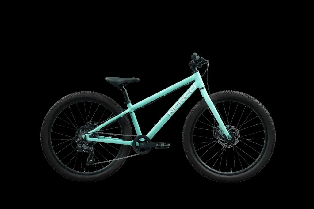 Norco storm 24 Disc Rigid Fork